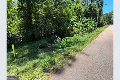 0 Lakeshore Road, Martin, GA 30557 - Photo 4