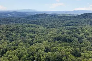 648 Stuart Mountain Rd, Mineral Bluff, GA 30559 - Photo 66