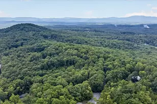 648 Stuart Mountain Rd, Mineral Bluff, GA 30559 - Photo 64