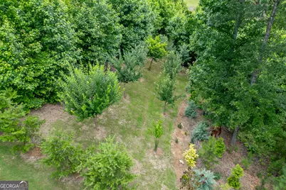 3536 Dockside Shores Drive, Gainesville, GA 30506 - Photo 60