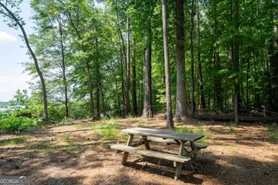 1360 Sailview Drive, Buckhead, GA 30625 - Photo 32