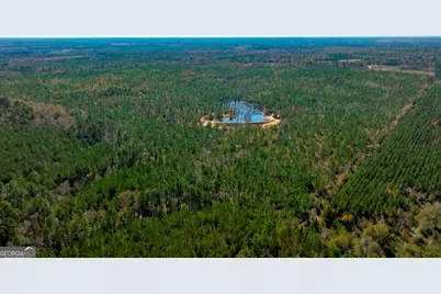 0 Morton Road, Dublin, GA 31021 - Photo 26