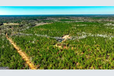 0 Morton Road, Dublin, GA 31021 - Photo 36