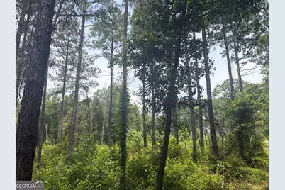 1 Sunhill Grange Road, Davisboro, GA 31018 - Photo 4
