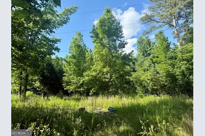 249 Weems Road, Lyerly, GA 30730 - Photo 2