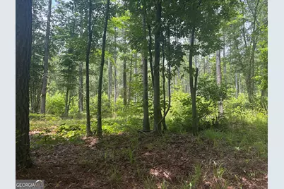 2 Sunhill Grange Road, Davisboro, GA 31018 - Photo 2