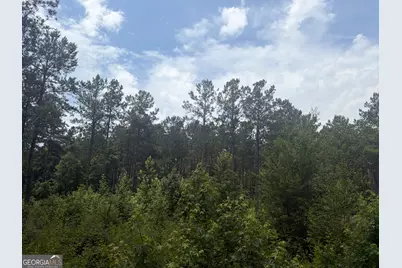 2 Sunhill Grange Road, Davisboro, GA 31018 - Photo 6