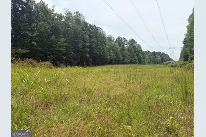 3 Sunhill Grange Road, Davisboro, GA 31018 - Photo 10