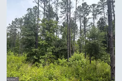3 Sunhill Grange Road, Davisboro, GA 31018 - Photo 4