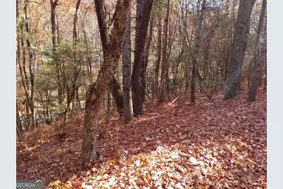 0 Rebel Circle #LOT 3, Sky Valley, GA 30537 - Photo 8