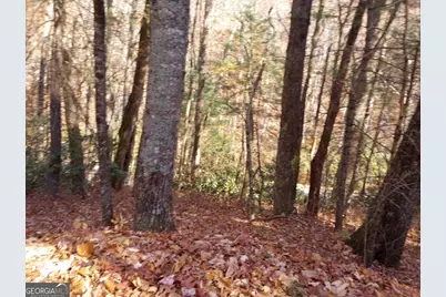 0 Rebel Circle #LOT 3, Sky Valley, GA 30537 - Photo 6