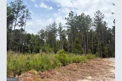 5 Sunhill Grange Road, Davisboro, GA 31018 - Photo 2