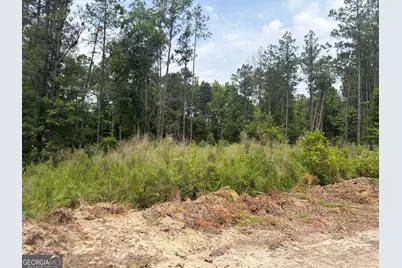 5 Sunhill Grange Road, Davisboro, GA 31018 - Photo 4