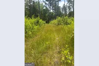 6 Sunhill Grange Road, Davisboro, GA 31018 - Photo 2