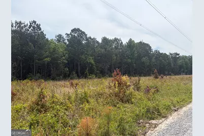 6 Sunhill Grange Road, Davisboro, GA 31018 - Photo 4
