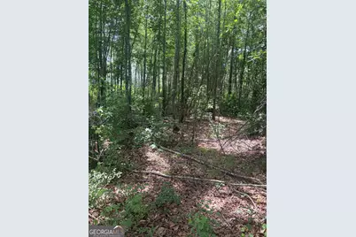 8 Sunhill Grange Road, Davisboro, GA 31018 - Photo 2
