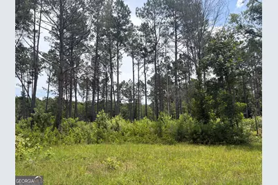 9 Sunhill Grange Road, Davisboro, GA 31018 - Photo 10