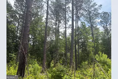 10 Sunhill Grange Road, Davisboro, GA 31018 - Photo 2