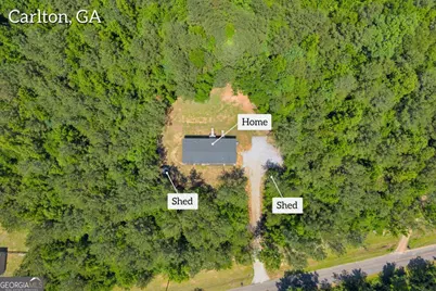 295 Berkeley Road, Carlton, GA 30627 - Photo 32