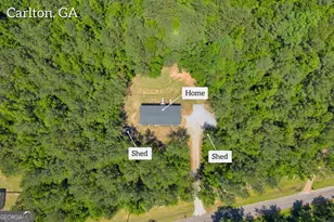 295 Berkeley Rd, Carlton, GA 30627 - Photo 32