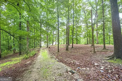 394 Ferrell Tatum Road, Lagrange, GA 30240 - Photo 8