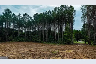 205 Sunset Drive, Summerville, GA 30747 - Photo 16