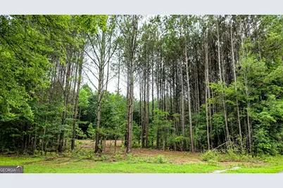 205 Sunset Drive, Summerville, GA 30747 - Photo 18