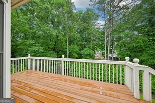 3923 Springtree Ln, Hoschton, GA 30548 - Photo 54