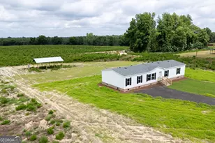 444 L B Hall Rd, Garfield, GA 30425 - Photo 4