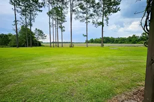 12772 Hwy 122, Pavo, GA 31778 - Photo 86