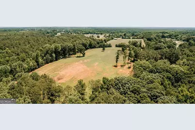 0 Mitchell Farm Road, Colbert, GA 30628 - Photo 16