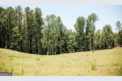 0 Mitchell Farm Road, Colbert, GA 30628 - Photo 28