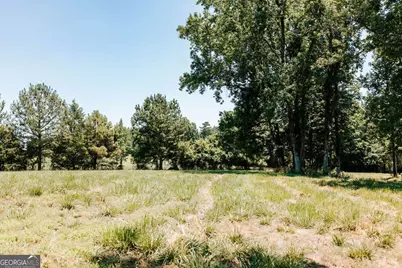 0 Mitchell Farm Road, Colbert, GA 30628 - Photo 24