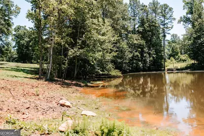 0 Mitchell Farm Road, Colbert, GA 30628 - Photo 26
