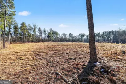 2285 Cherokee Road, Comer, GA 30629 - Photo 10