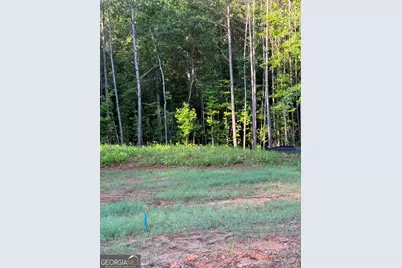 0 Benelli Ridge #15, Sharpsburg, GA 30277 - Photo 6