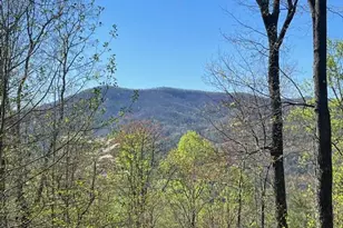 92 Boulder Ln, Rabun Gap, GA 30568 - Photo 50