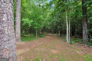 1577 Stark Rd, Jackson, GA 30233 - Photo 48