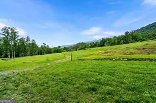 1449 Muskrat Creek Rd, Hayesville, NC 28904 - Photo 34