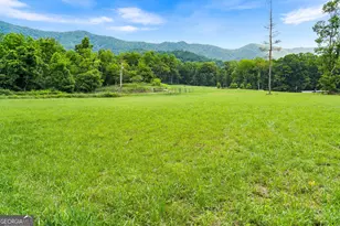 1449 Muskrat Creek Rd, Hayesville, NC 28904 - Photo 52