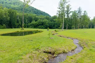 1449 Muskrat Creek Rd, Hayesville, NC 28904 - Photo 58