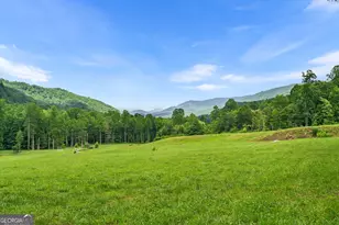 1449 Muskrat Creek Rd, Hayesville, NC 28904 - Photo 48
