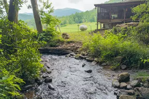 1449 Muskrat Creek Rd, Hayesville, NC 28904 - Photo 8