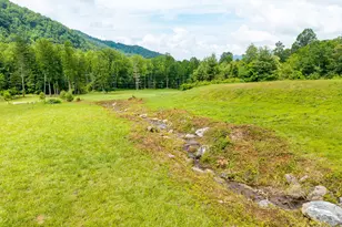 1449 Muskrat Creek Rd, Hayesville, NC 28904 - Photo 60