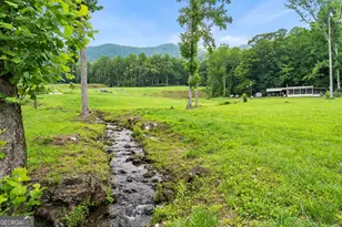 1449 Muskrat Creek Rd, Hayesville, NC 28904 - Photo 54