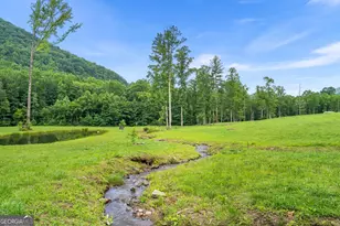 1449 Muskrat Creek Rd, Hayesville, NC 28904 - Photo 46