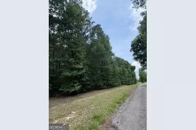 148 Hillview Road #7.1 AC, Hampton, GA 30228 - Photo 4