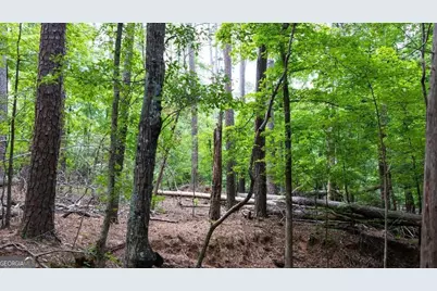 0 Indian Cirlce, Lincolnton, GA 30817 - Photo 6