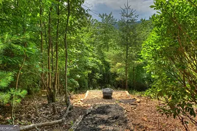 277 Hickory Nut Trail, Cherry Log, GA 30522 - Photo 24