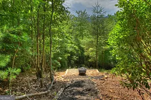 277 Hickory Nut Trail, Cherry Log, GA 30522 - Photo 24